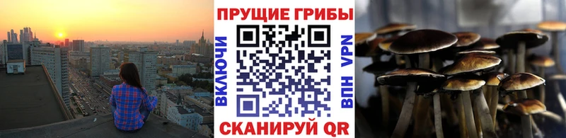 Галлюциногенные грибы Magic Shrooms  закладки  Юхнов 